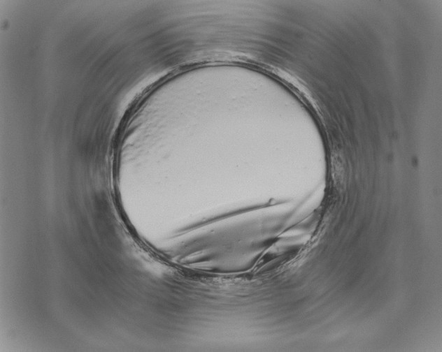 X0000076270987200610191735