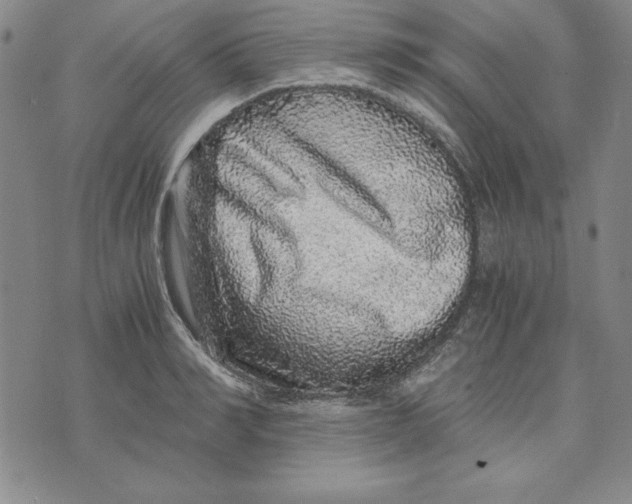 X0000076270990200610191735