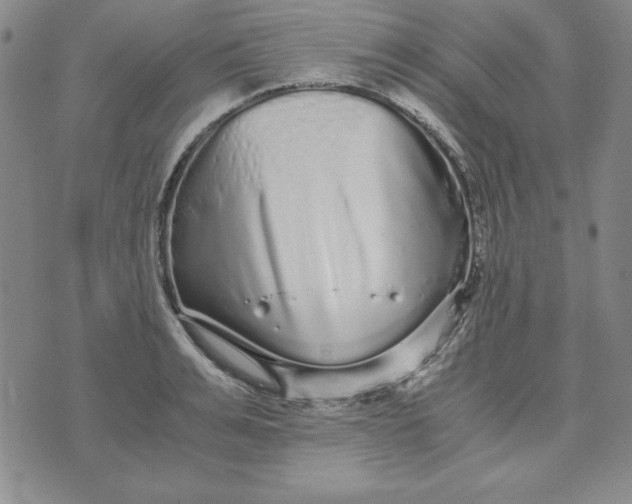 X0000076270991200610191735