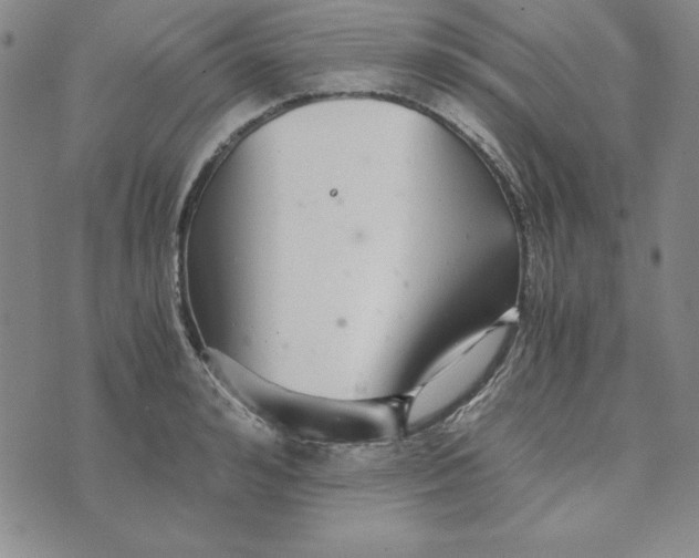 X0000076270992200610191735