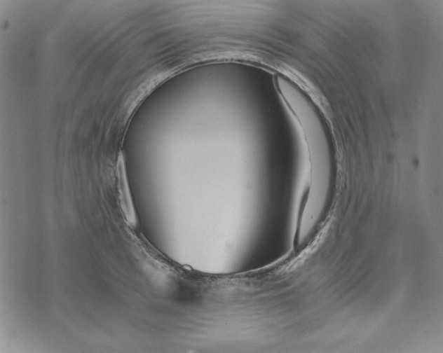 X0000076270993200610191735