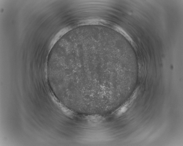 X0000076270994200610191735