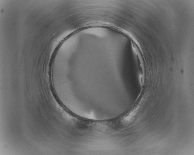 X0000076270995200610191735