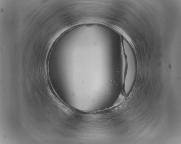 X0000076270996200610191735