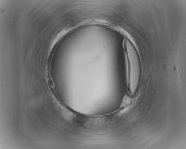 X0000076270997200610191735