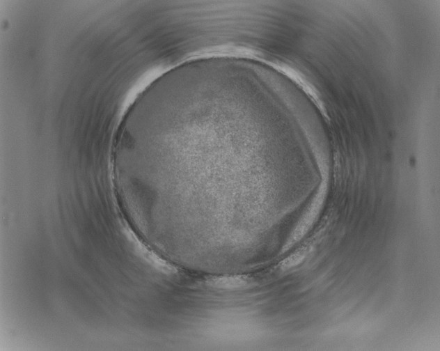 X0000076270998200610191735