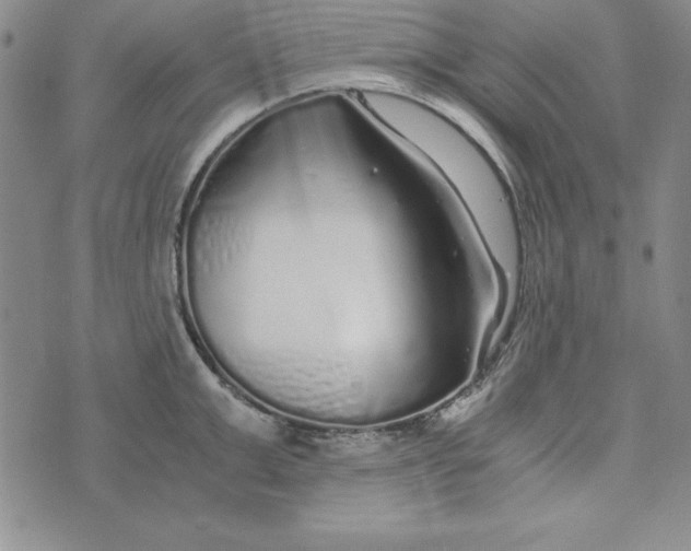 X0000076270999200610191735