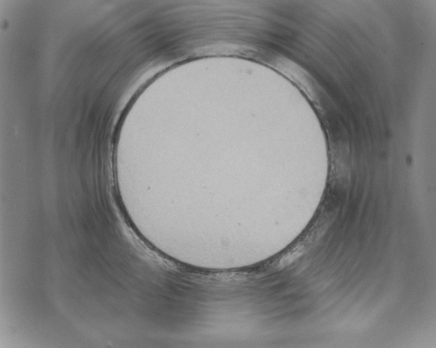 X0000076271000200610191735