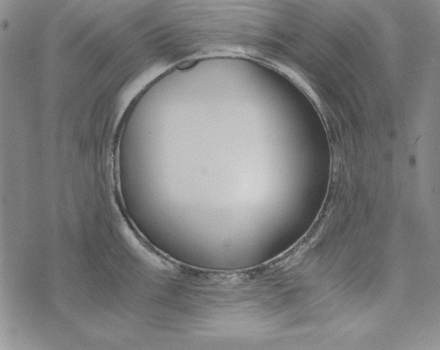 X0000076271003200610191735