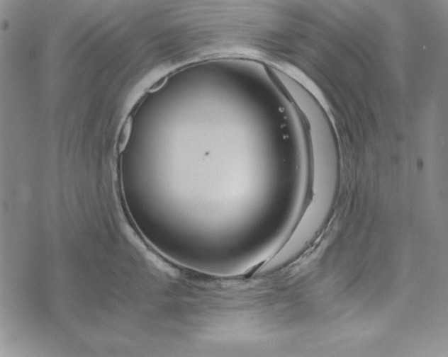 X0000076271005200610191735