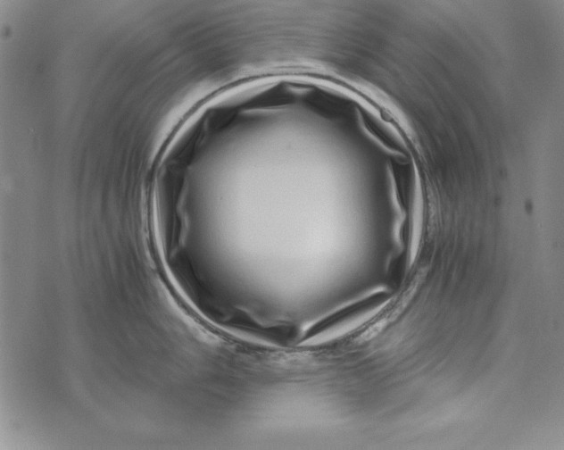 X0000076271006200610191735