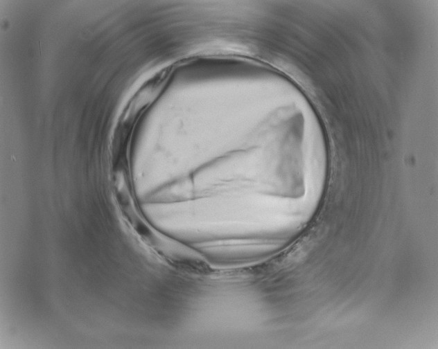 X0000076271008200610191735