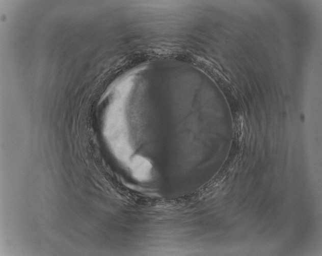 X0000076271009200610191734