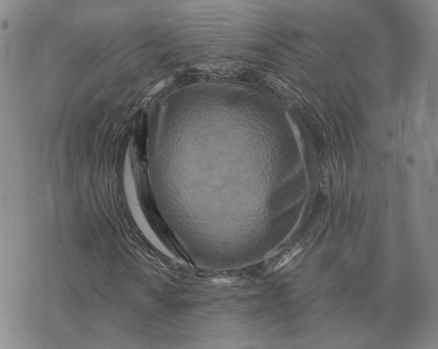 X0000076271010200610191734