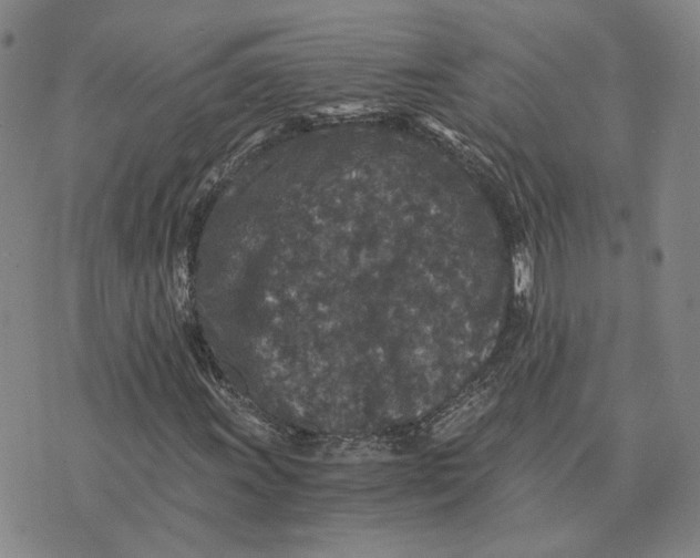 X0000076271011200610191734