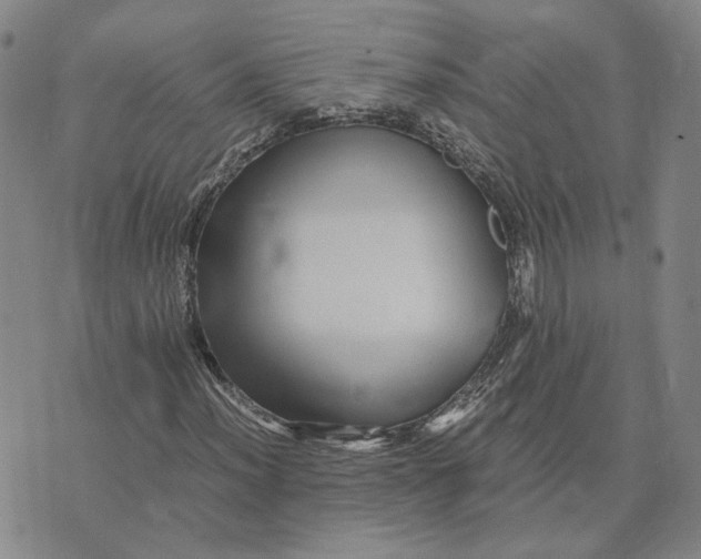 X0000076271012200610191734