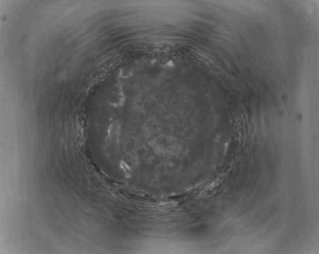 X0000076271013200610191734