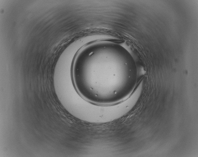 X0000076271014200610191734