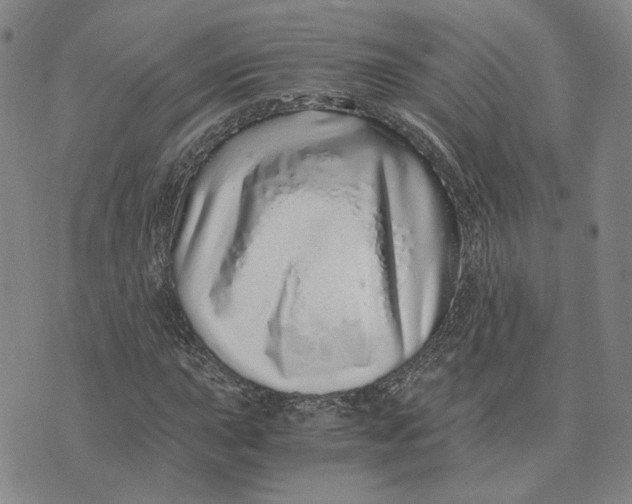 X0000076271015200610191734