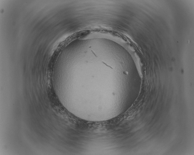 X0000076271016200610191734