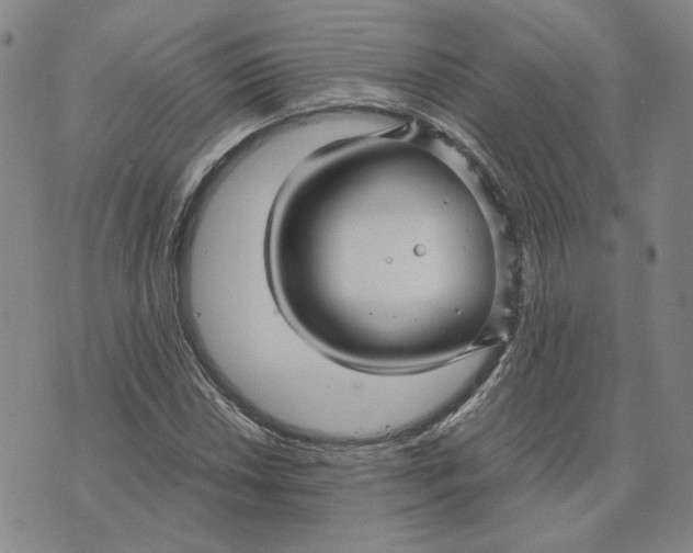 X0000076271018200610191734