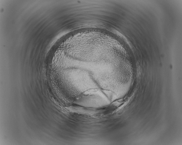 X0000076271019200610191734