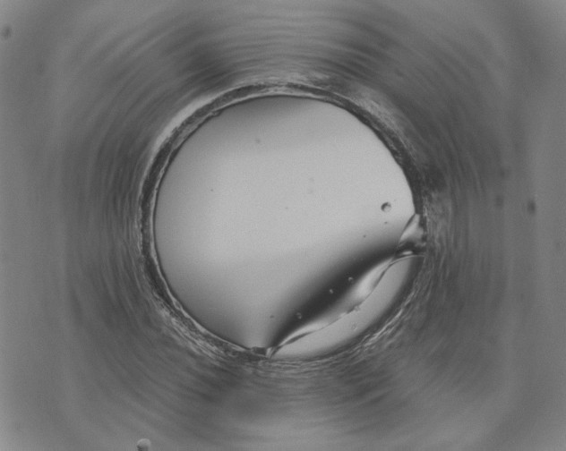 X0000076271020200610191734