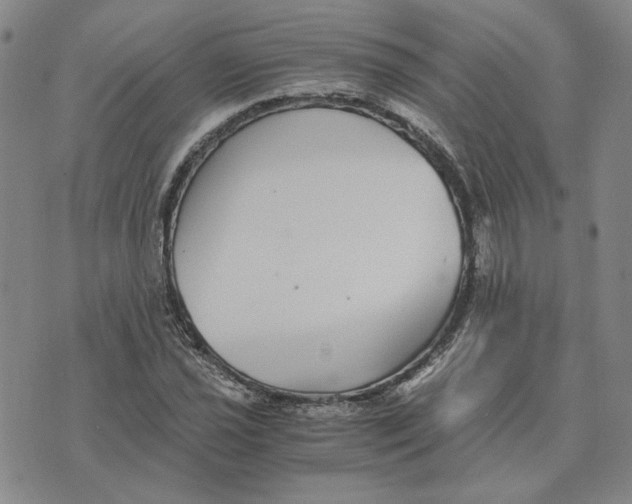 X0000076271021200610191734