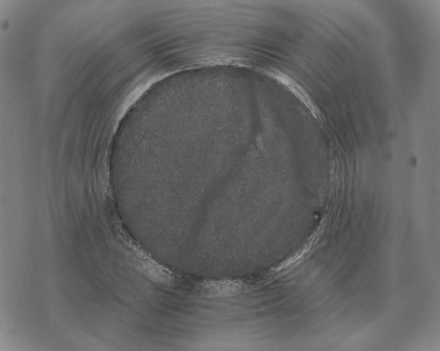 X0000076271023200610191734