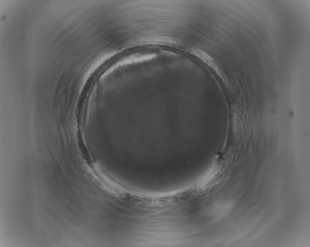 X0000076271024200610191734