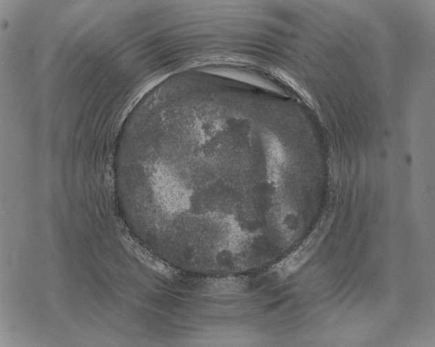 X0000076271025200610191734