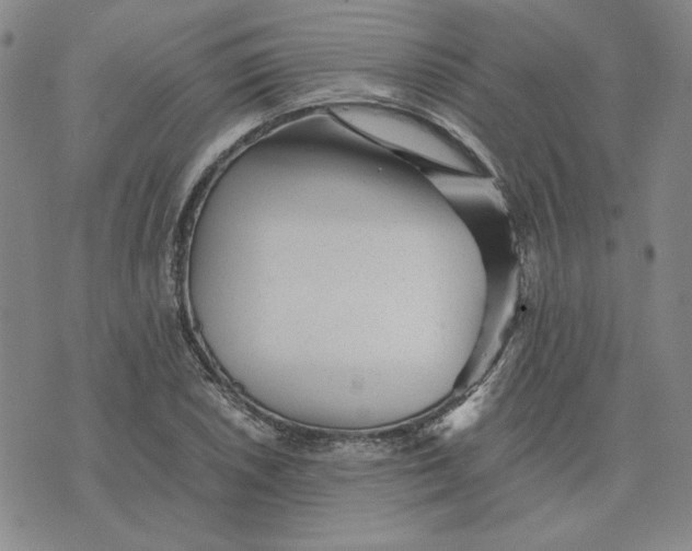 X0000076271026200610191734