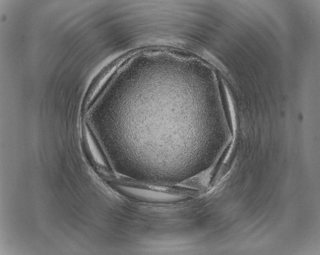 X0000076271028200610191734