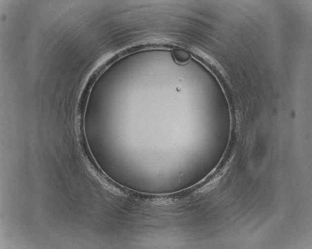 X0000076271029200610191734