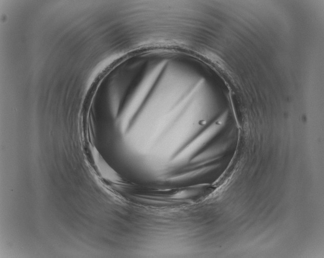 X0000076271030200610191734