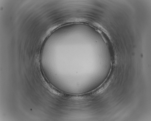 X0000076271033200610191734