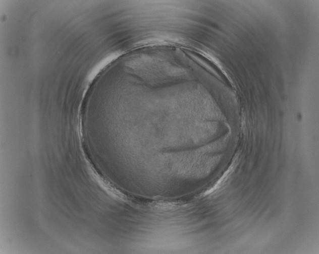 X0000076271034200610191734