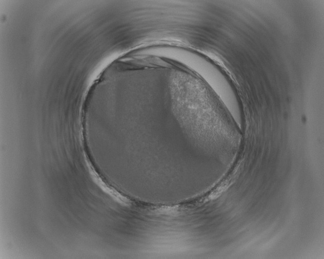 X0000076271038200610191734