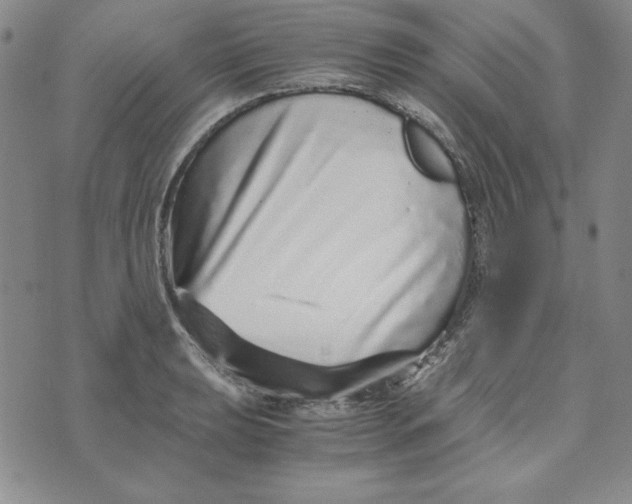 X0000076271039200610191734