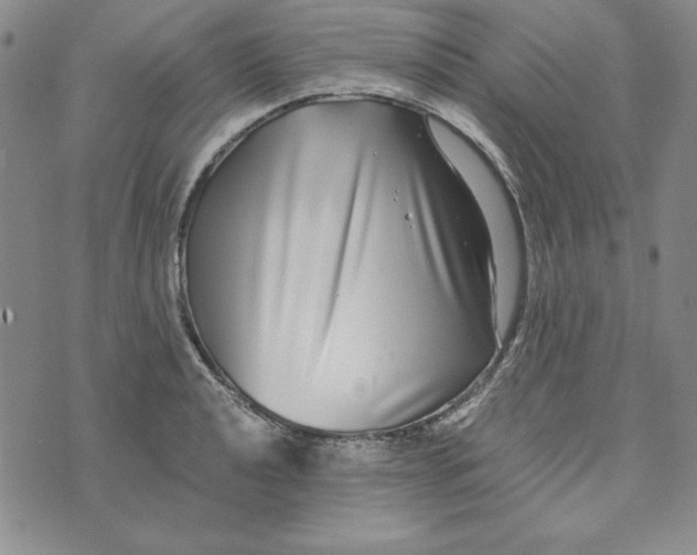 X0000076271040200610191734