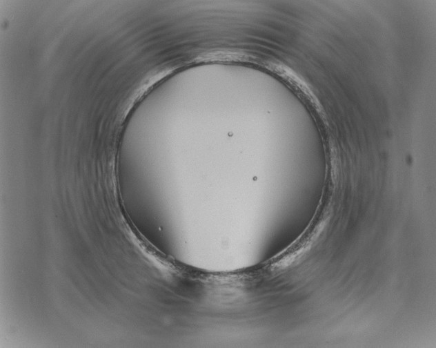 X0000076271041200610191734