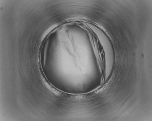 X0000076271042200610191734