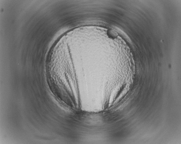 X0000076271043200610191734