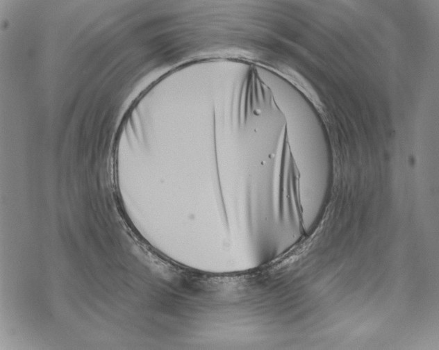 X0000076271044200610191734