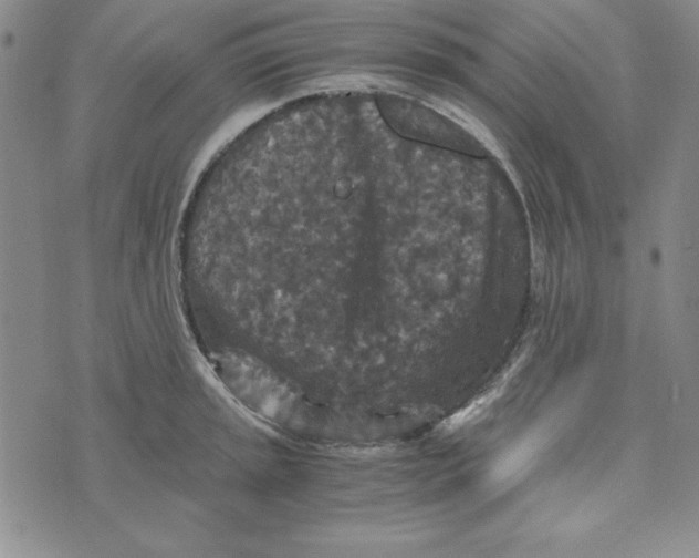 X0000076271045200610191734