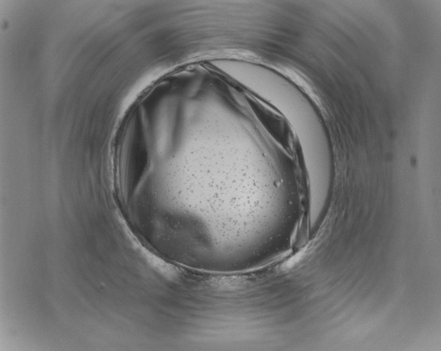 X0000076271046200610191734