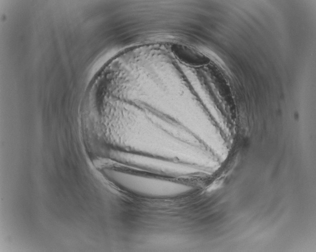 X0000076271047200610191734