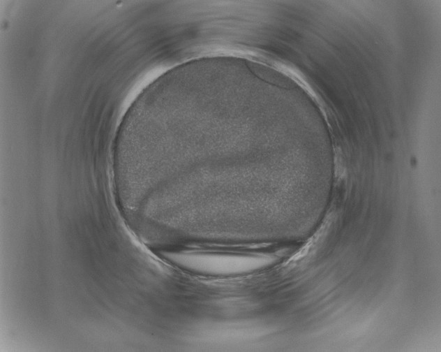 X0000076271048200610191734