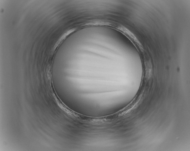 X0000076271049200610191734