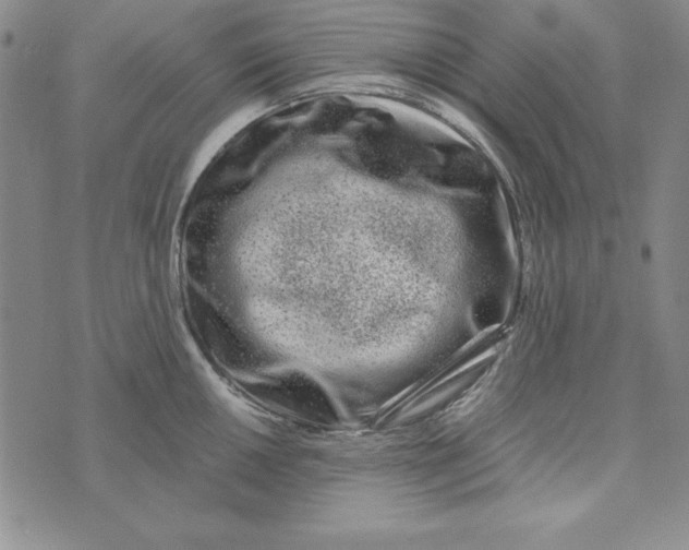 X0000076271050200610191734